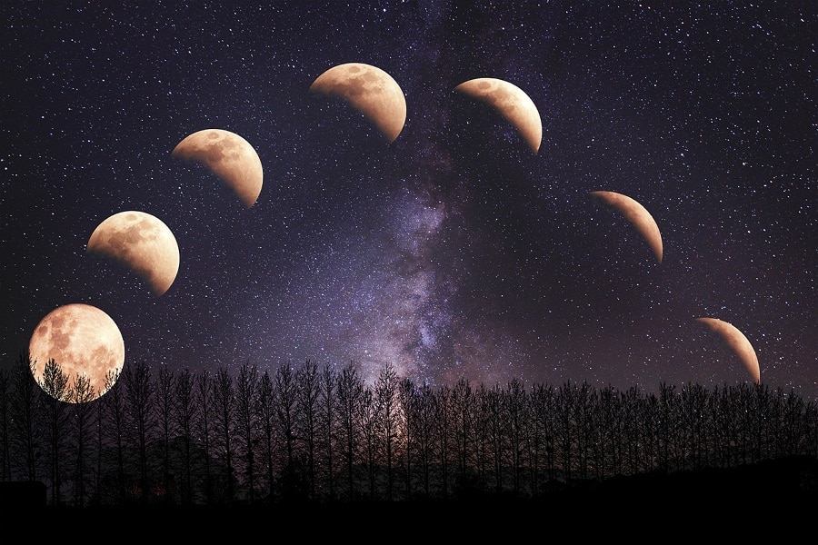 Paysage nocturne avec une rangée d'arbres au premier plan et un montage avec plusieurs phases de la lune, en arc de cercle dans le ciel violacé.