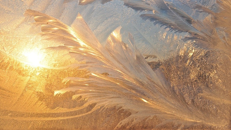 Des dessins naturels faits par le gel sur ce qu’il semble être une surface vitrée, à travers laquelle on devine le soleil.