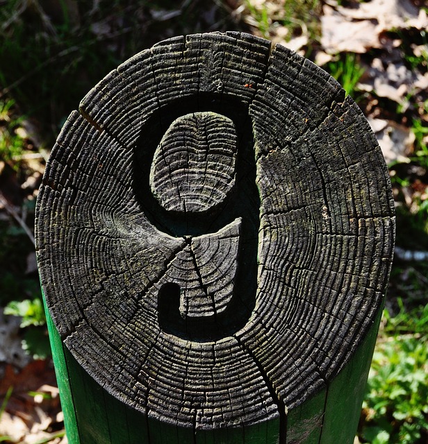 Photo d’un poteau fait avec un tronc d’arbre. La coupe du tronc est gravée avec le chiffre 9.