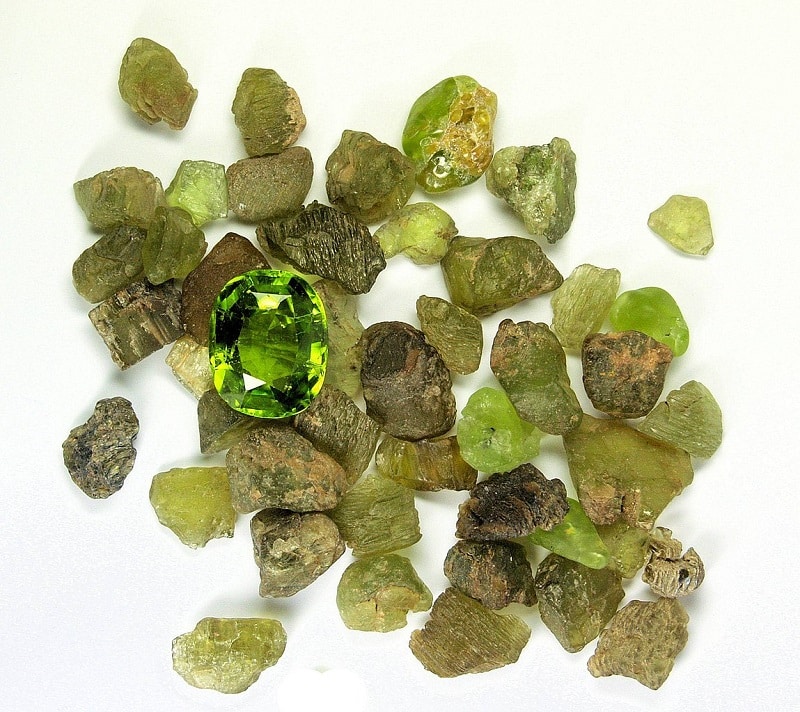 Différents cristaux bruts de péridot, mis en tas, dans différentes formes et différentes nuances de verts, et une gemme taillée et facettée de péridot, posée par-dessus. Le tout sur un fond blanc.