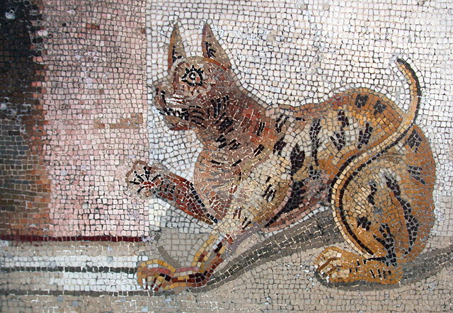 Détail d’une mosaïque antique, venant de Pompéi, montrant un chat au pied d’une colonne.