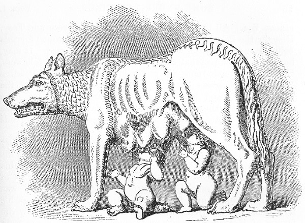 Dessin représentant la louve de Rome : une louve en train d’allaiter deux nourrissons.
