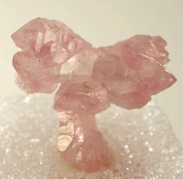 Quartz rose brut, partant dans plusieurs directions, sur une macle de quartz blanc.